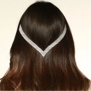 Hidden Crown Crown Jewels Vstone Silver with brown clips